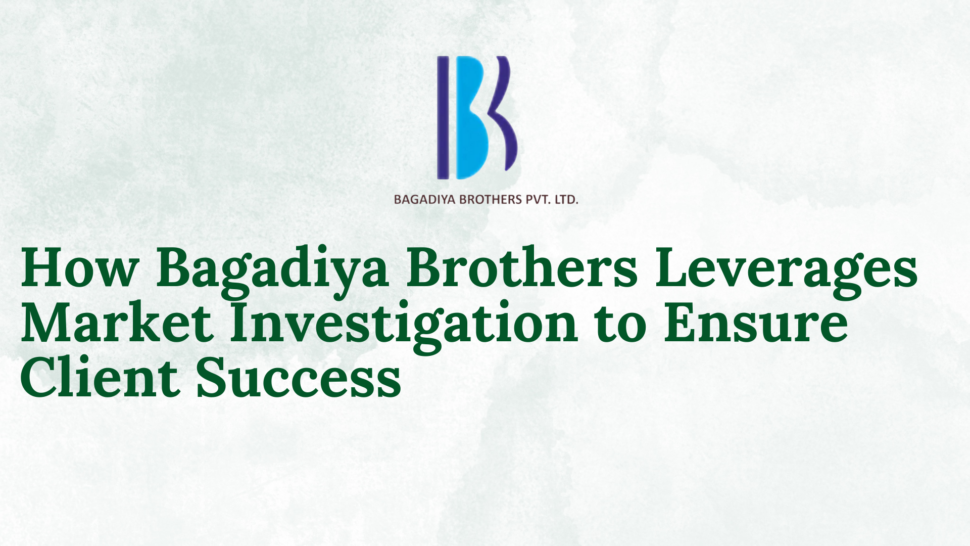 Bagadiya Brothers: Market Investigation for Client Success