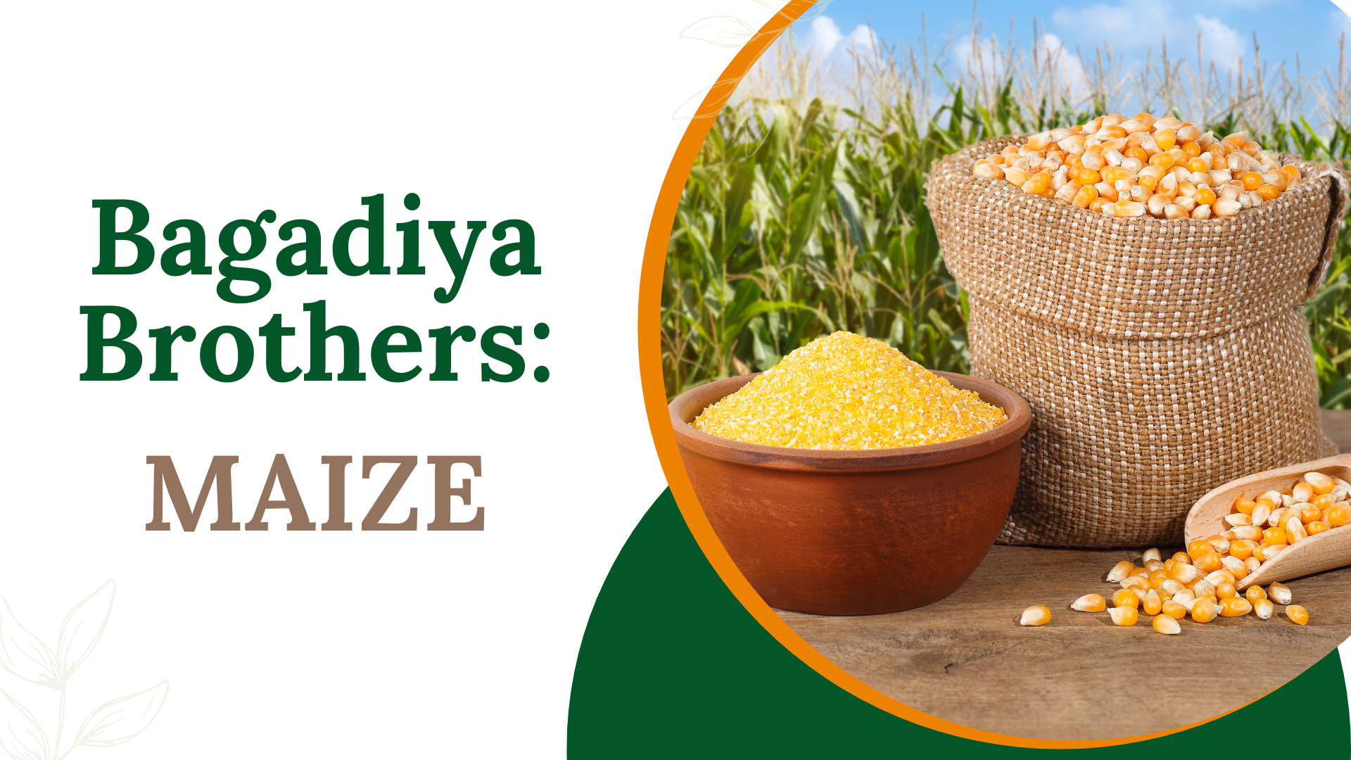 Maize Export with Bagadiya Brothers